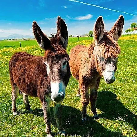 La De Langre Anexo Carriazo